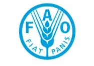 Partner 30