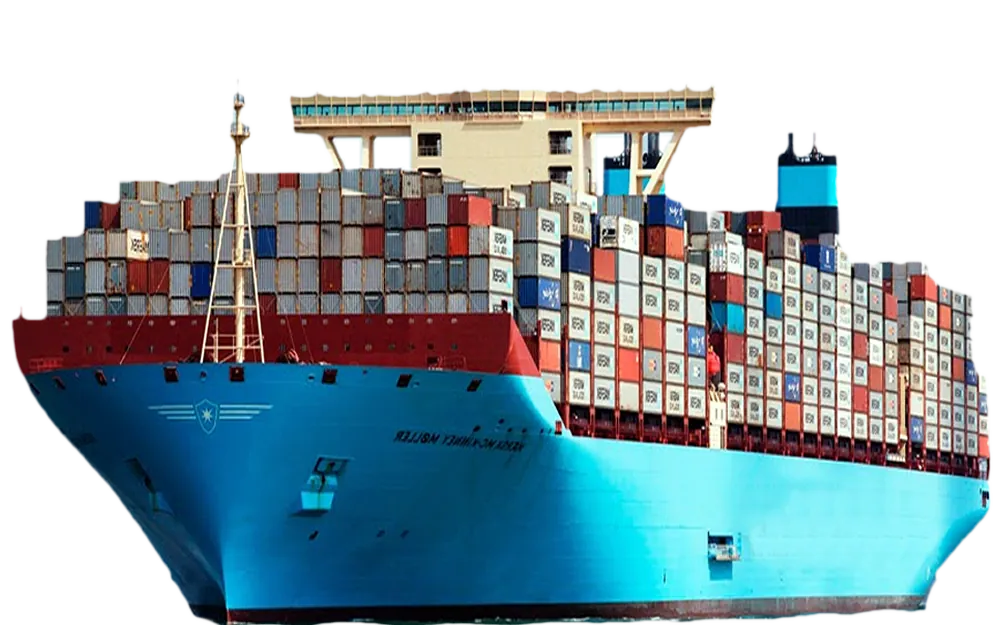 Activités d'Exportation